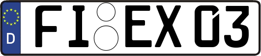 FI-EX03