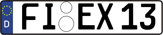 FI-EX13