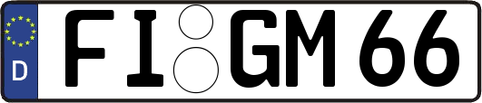 FI-GM66