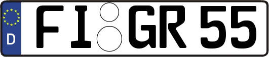 FI-GR55