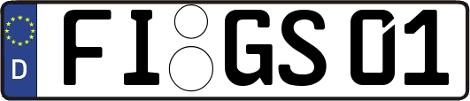 FI-GS01