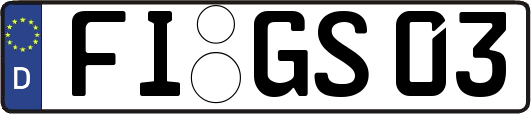 FI-GS03
