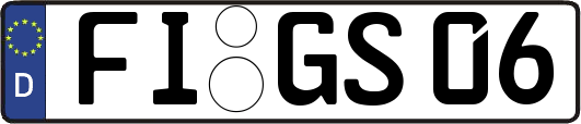 FI-GS06