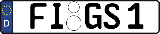 FI-GS1