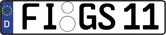 FI-GS11