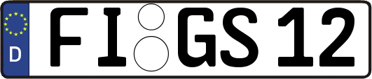 FI-GS12