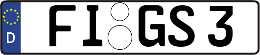 FI-GS3