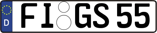 FI-GS55