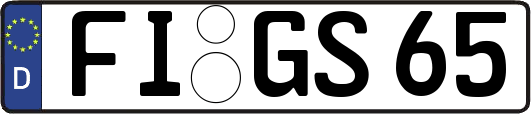 FI-GS65