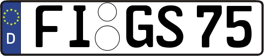 FI-GS75