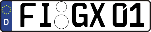 FI-GX01