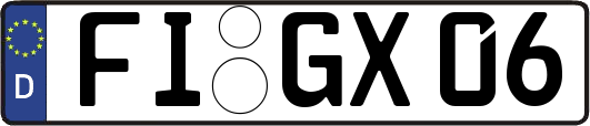 FI-GX06