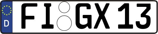 FI-GX13
