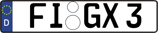 FI-GX3