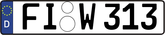 FI-W313