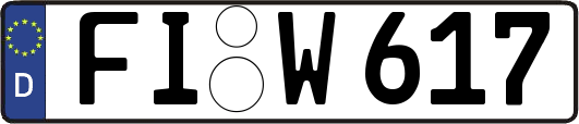 FI-W617