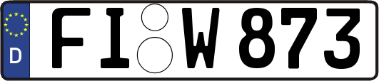 FI-W873
