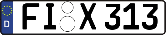 FI-X313