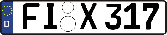 FI-X317
