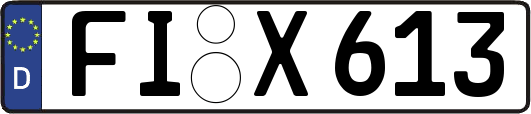 FI-X613