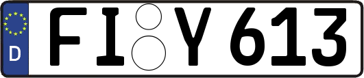 FI-Y613