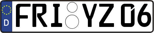 FRI-YZ06