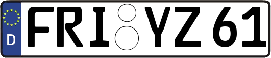 FRI-YZ61