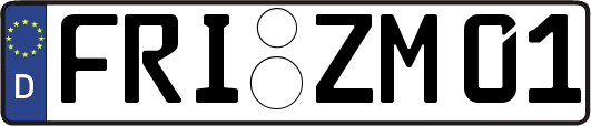 FRI-ZM01