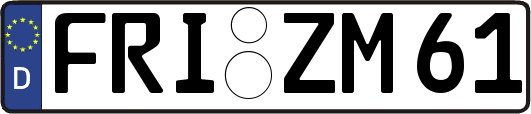 FRI-ZM61