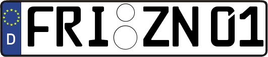 FRI-ZN01