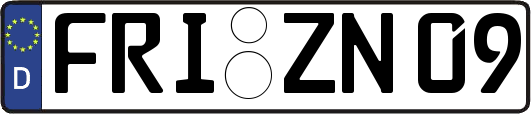 FRI-ZN09