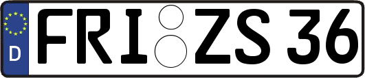 FRI-ZS36