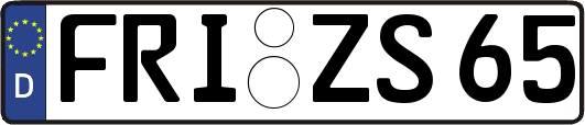 FRI-ZS65