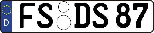 FS-DS87