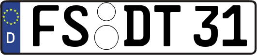 FS-DT31