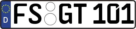 FS-GT101