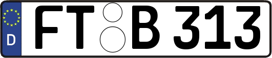 FT-B313