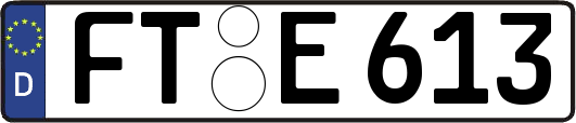 FT-E613