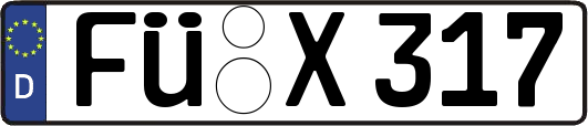 FÜ-X317