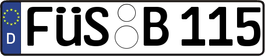 FÜS-B115