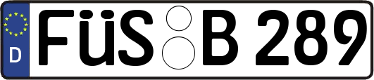 FÜS-B289