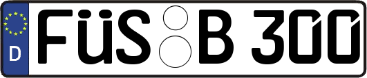 FÜS-B300
