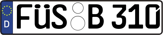 FÜS-B310