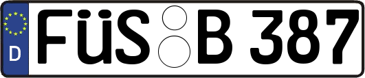 FÜS-B387