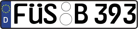 FÜS-B393