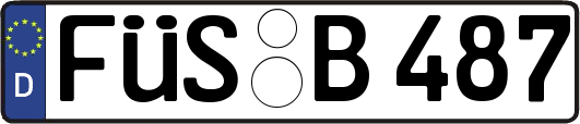 FÜS-B487