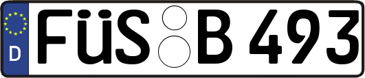 FÜS-B493