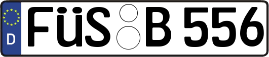 FÜS-B556