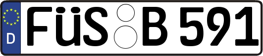 FÜS-B591