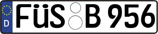 FÜS-B956